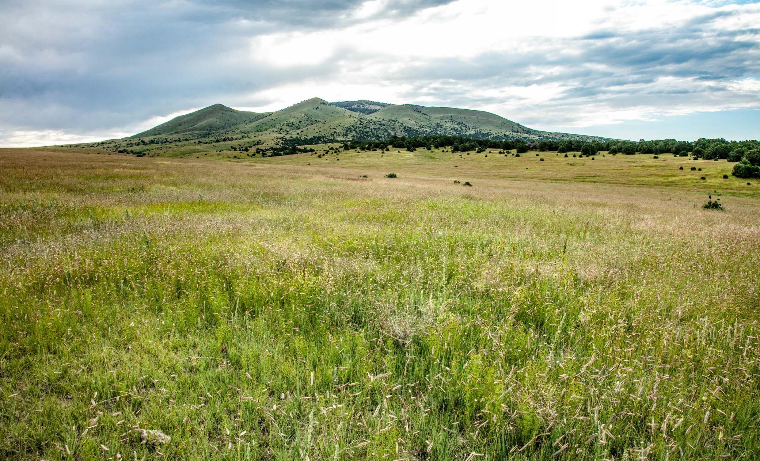 Laughlin Peak Ranch Chas S. Middleton